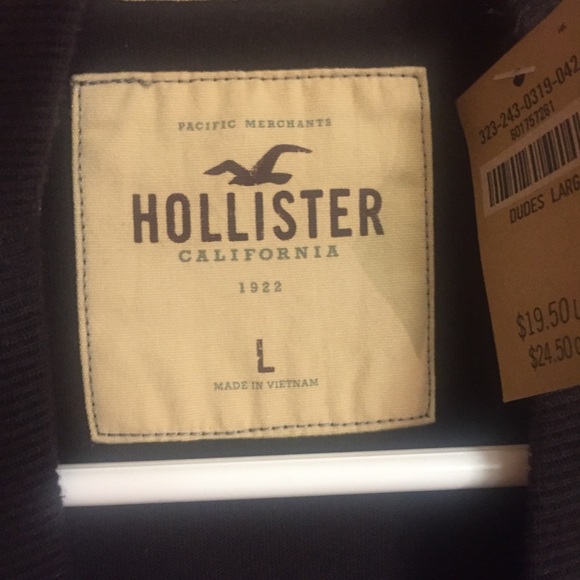 [Hollister] tee shirt new tags large brown men’s - Picture 2 of 3